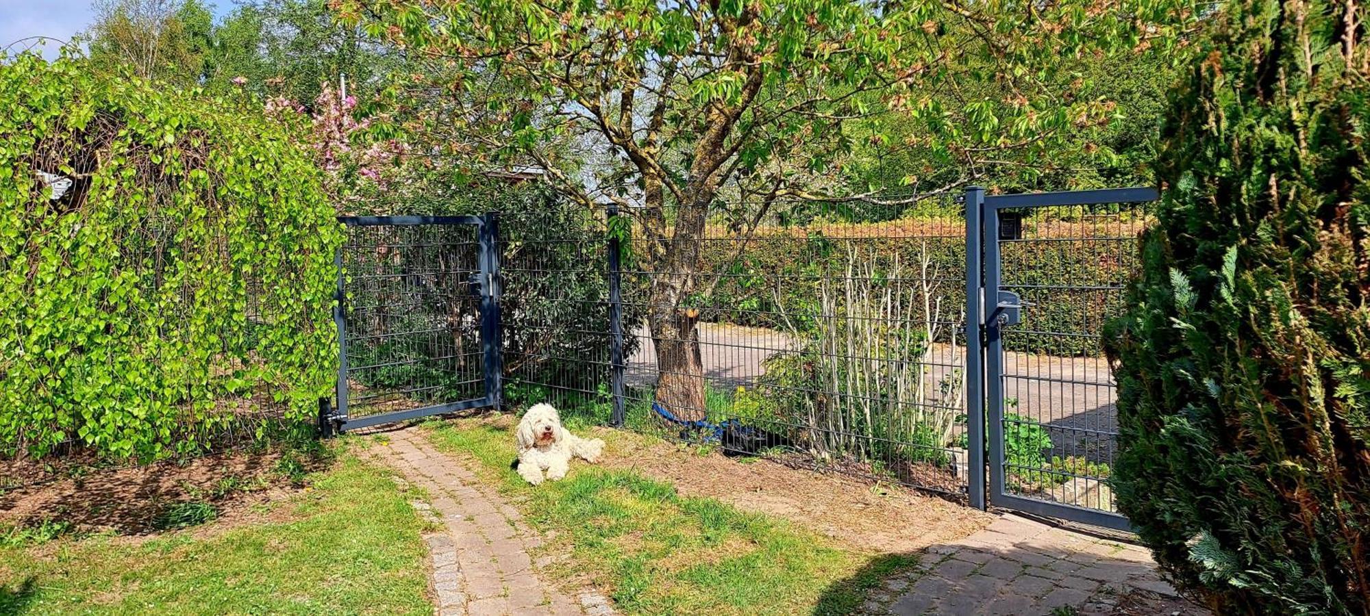 Fewo Sonne Rovershagen Exteriör bild